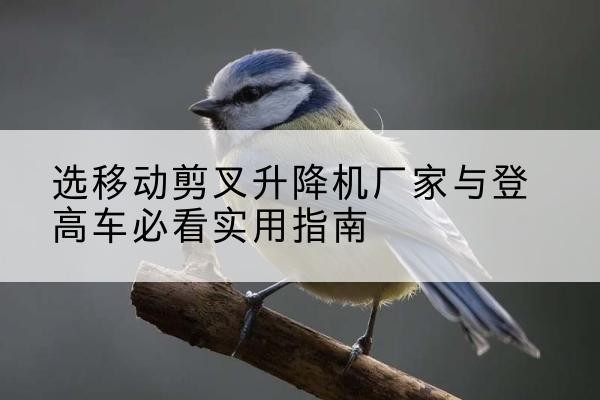 姑苏电动升降机厂家-选移动剪叉升降机厂家与登高车必看实用指南