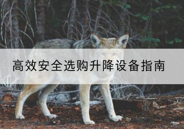 姑苏升降货梯厂家推荐-*安全选购升降设备指南
