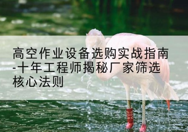 姑苏剪叉式升降机厂家-高空作业设备选购实战指南-十年工程师揭秘厂家筛选核心法则